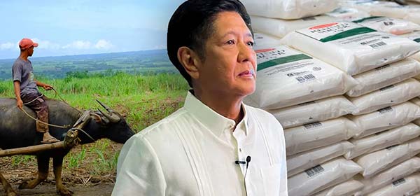 필리핀, 쌀 이어 설탕까지 가격 ‘폭등’…마트에도 콜라가 없어요! 